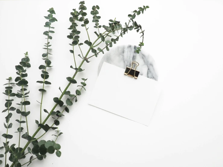 a white table topped with a white envelope surrounded by lots of greenery