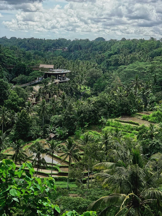 there is a view of trees in the middle of the day