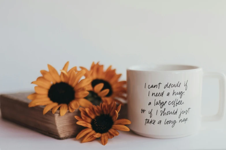 two sunflowers and a book are on the table