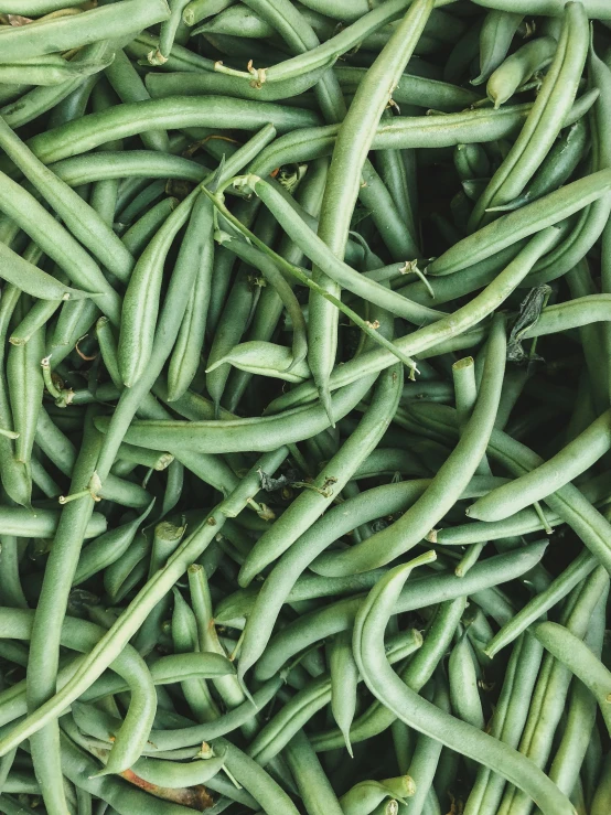 the beans are arranged into several rows and stacked together