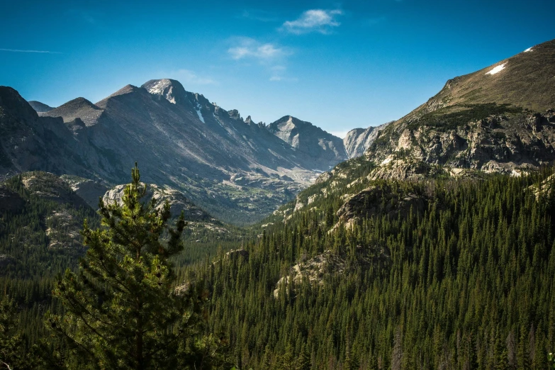 a mountain range with pine trees and mountains in the background