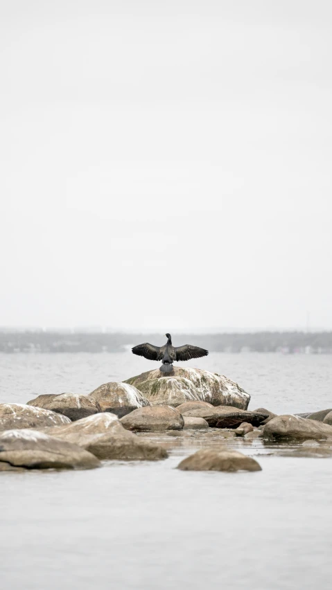 a bird sits atop the rocks that surrounds the water