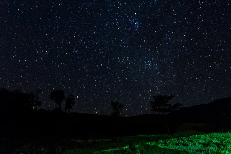 a field under the night sky full of stars