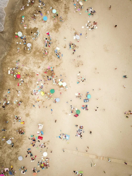 people at the beach on a sunny day