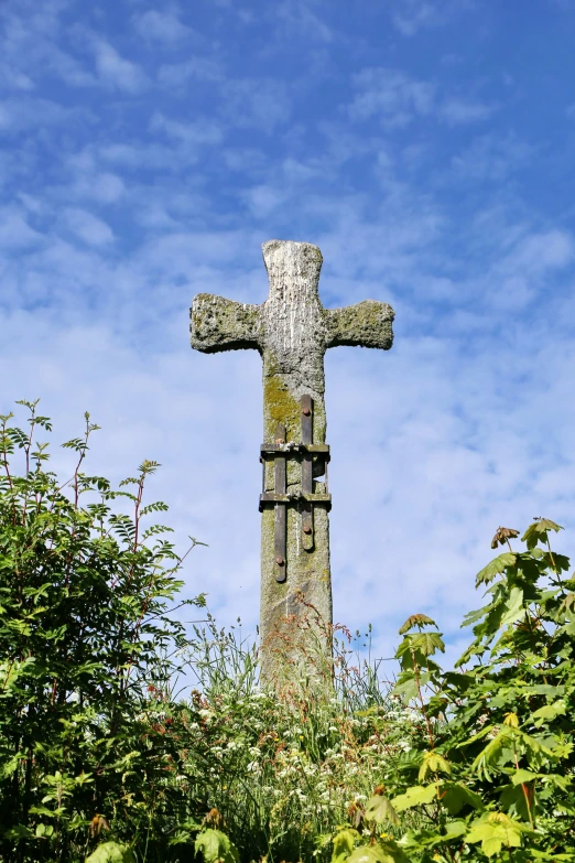 a wooden cross in some brush by the trees