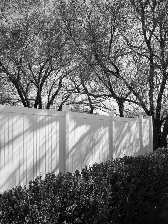 a black and white image of a tree, fence and house