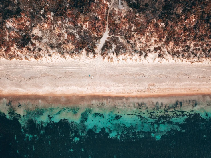 a very large body of water with trees around it