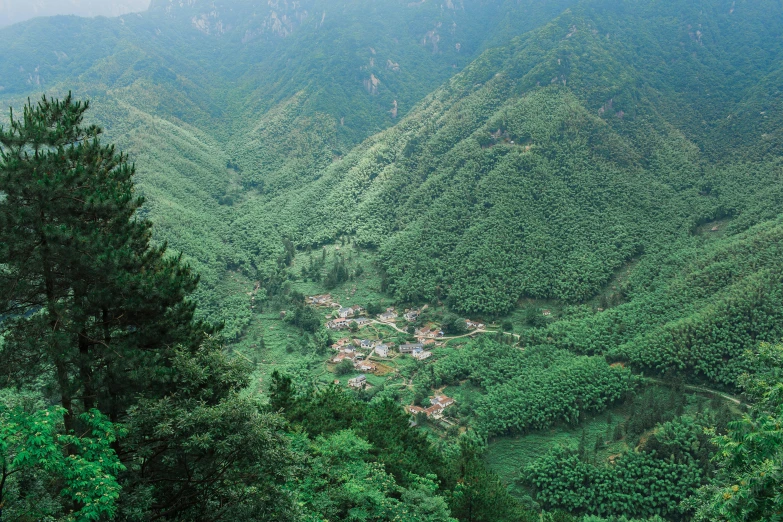 view of a mountain valley with lots of trees in the background