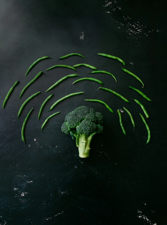 green broccoli with some leaves out on a black background