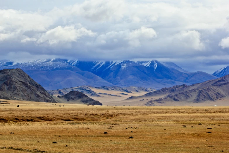 the vast desert is mostly empty but barren