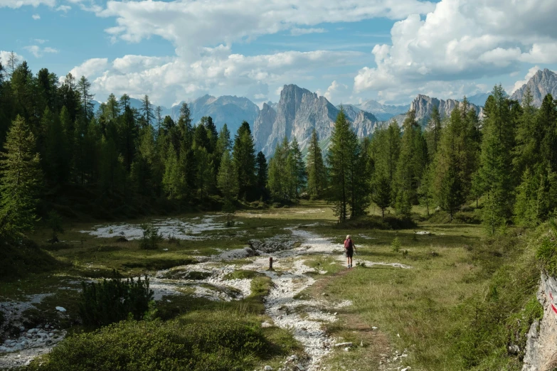 two people stand in a river next to some trees