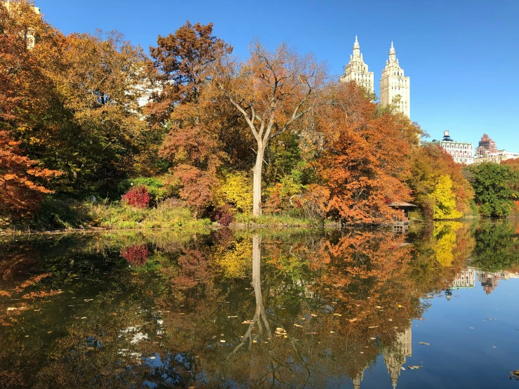 the trees and bushes on either side of the water are reflecting the building