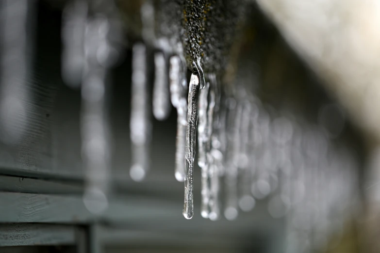 closeup of icicles hanging from a fence