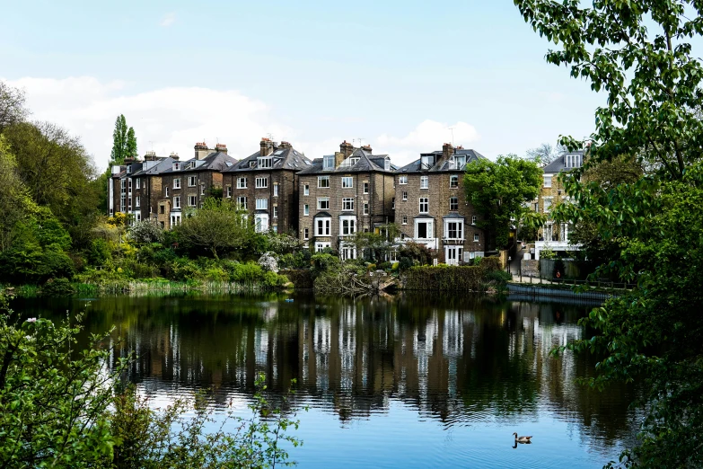 houses line the edge of a body of water near trees