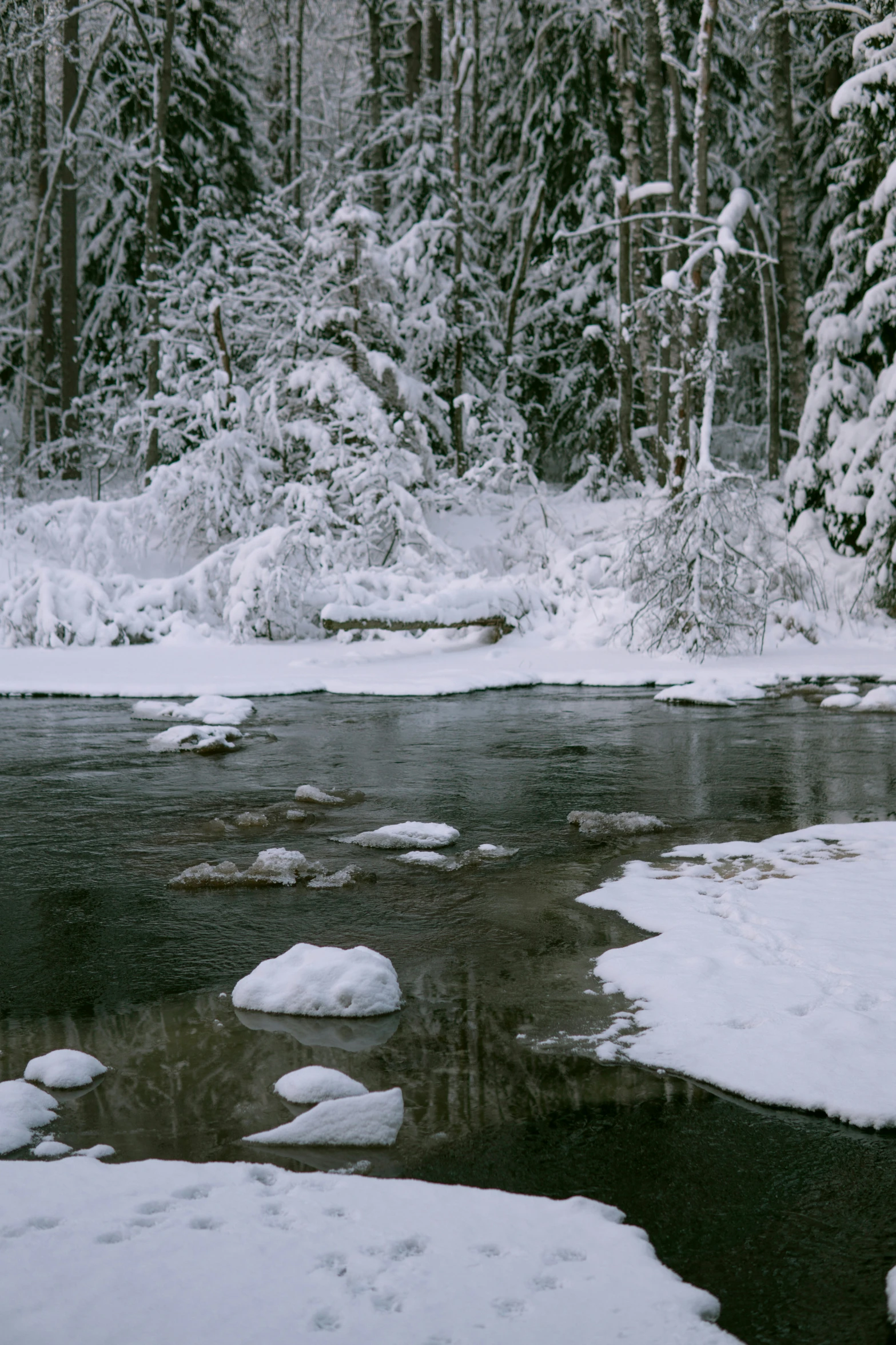 a small creek that is next to a snowy forest