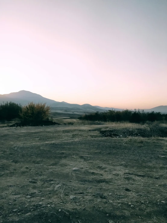 a lone horse on a open field near mountains