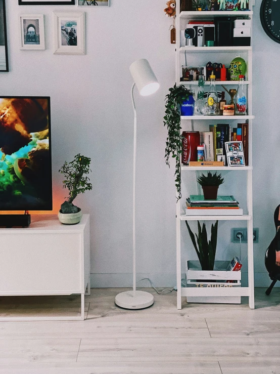 this living room has white walls and bookshelves