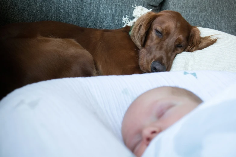 a baby and dog are asleep on the couch