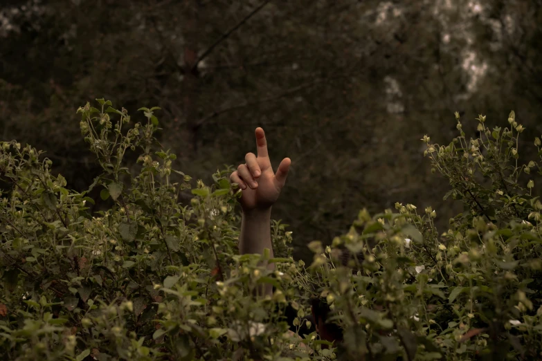 a zombie hand reaching up from the ground in the forest