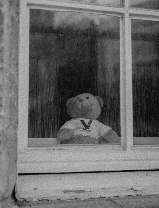 black and white pograph of teddy bear in window