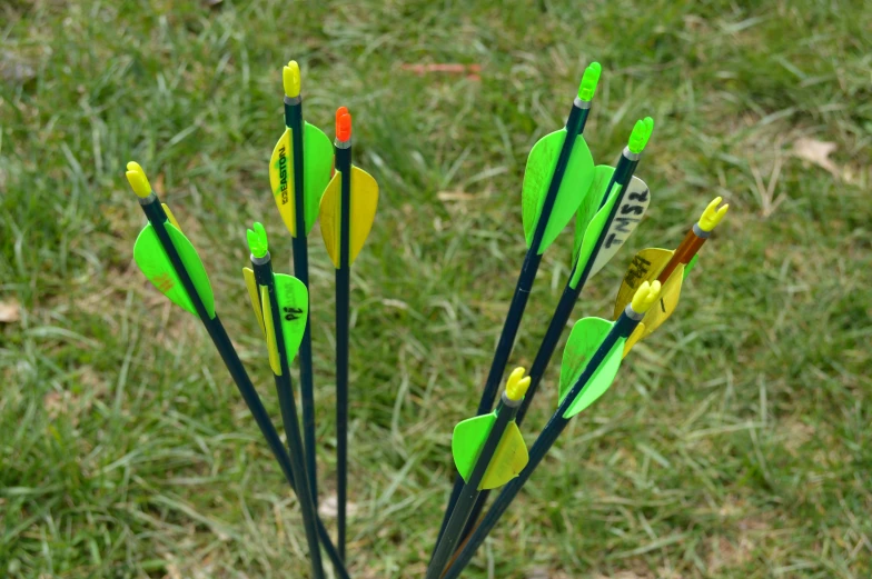 a group of arrows and arrows standing in the grass