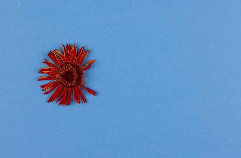 an ornate red and yellow object with leaves on it's side