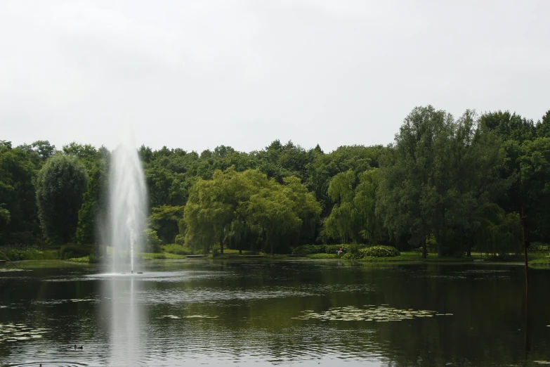 a fountain is in the middle of a pond surrounded by trees
