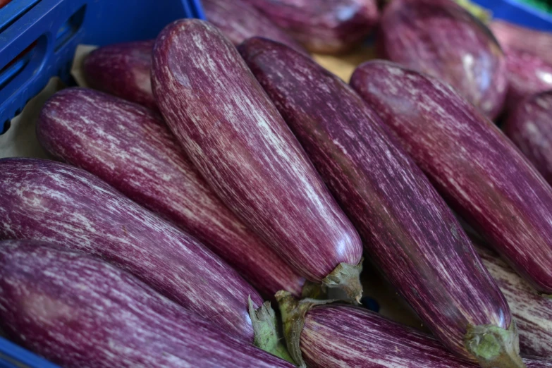 fresh purple eggplant sit inside a blue box