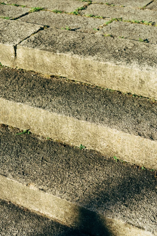 a red cat sits on the step of concrete