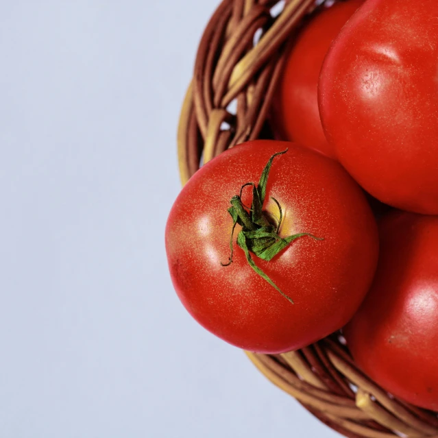 several tomatoes are placed in a basket