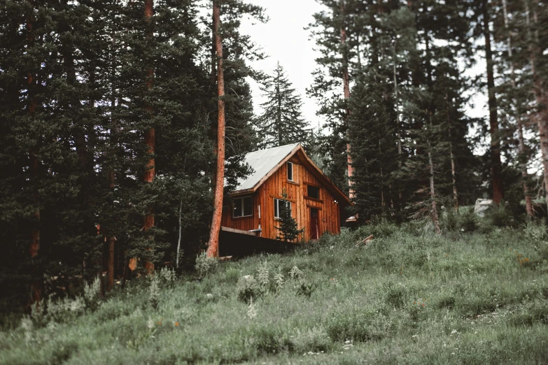 small wooden cabin nestled on the top of a mountain