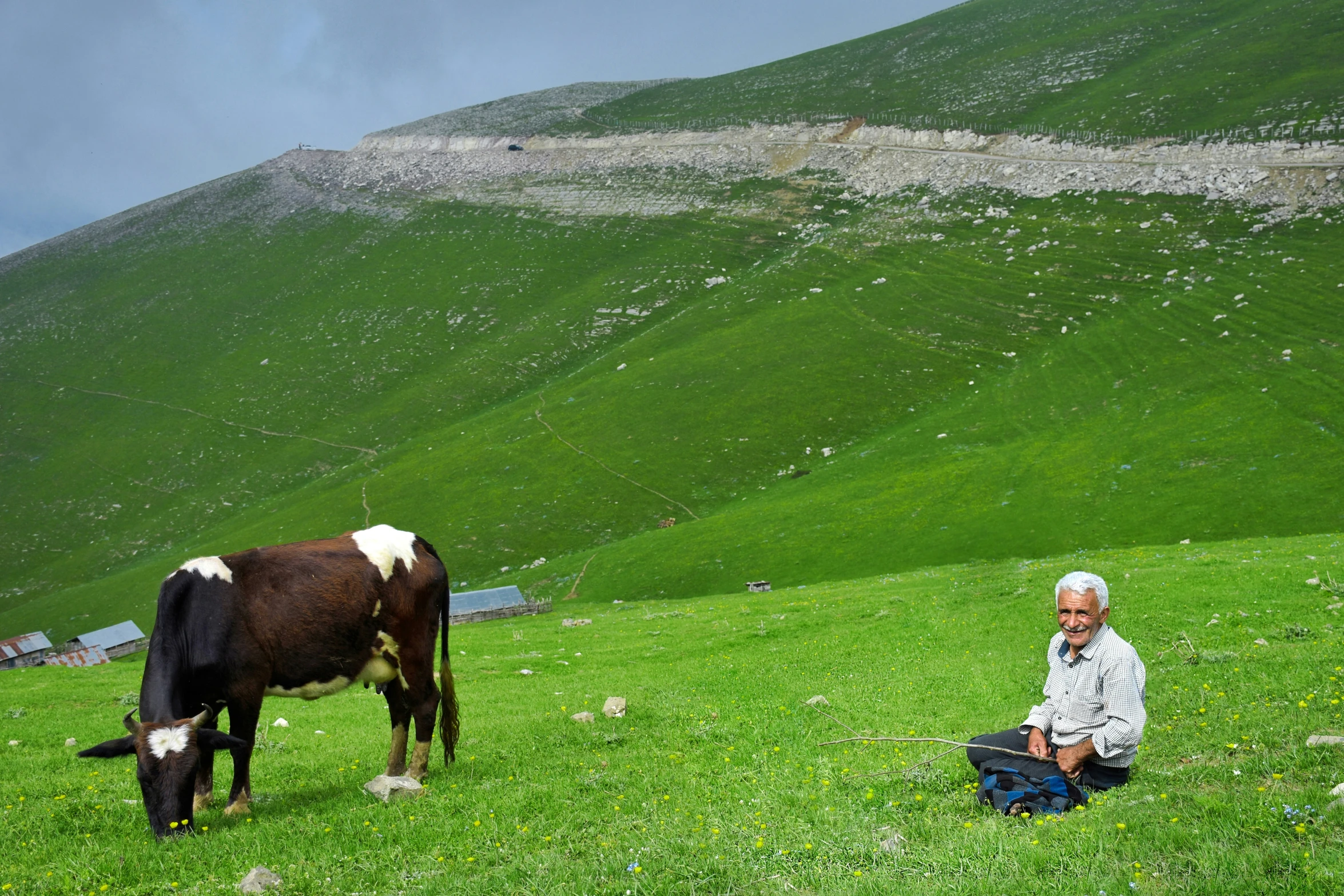 a man kneeling on the ground and a cow in a field