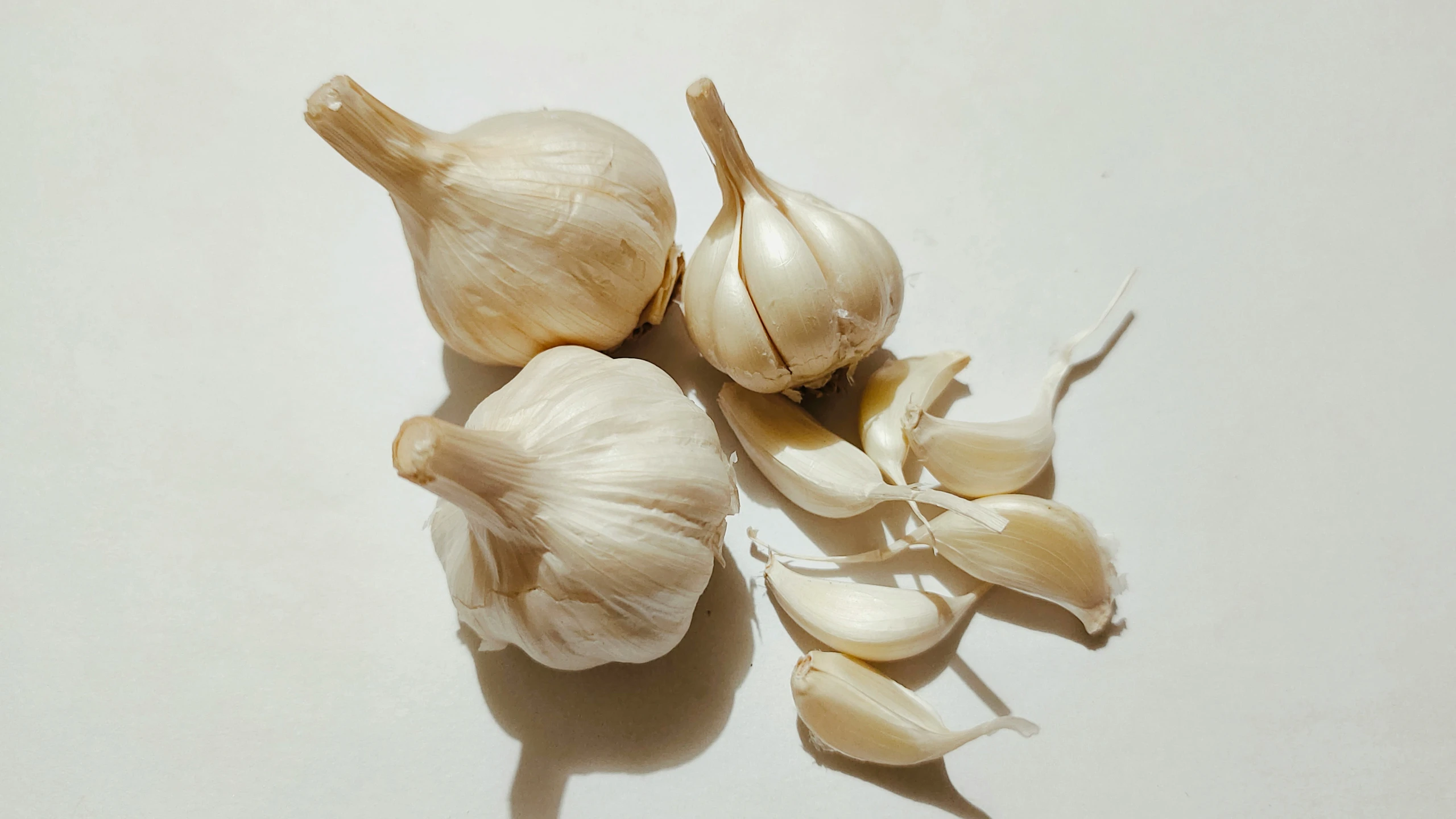the garlic has just came out of it