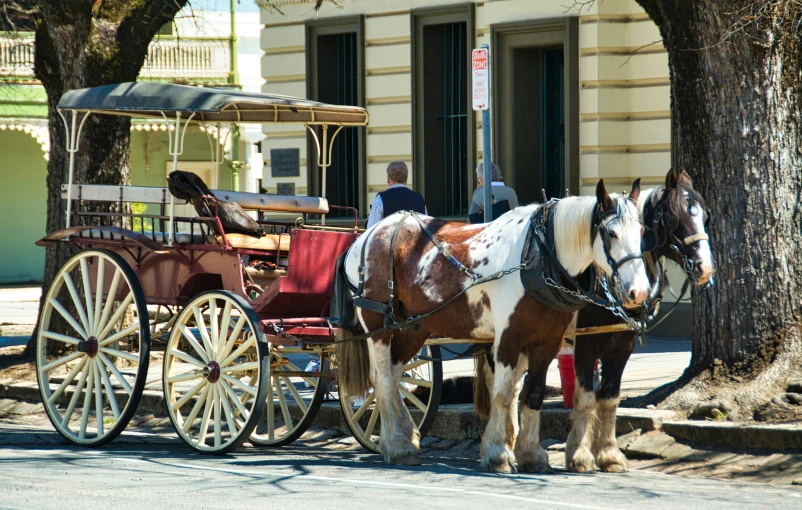 the people are riding in the cart pulled by two horses