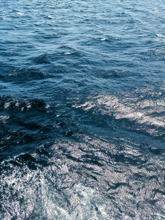 a person standing on a boat watching the ocean