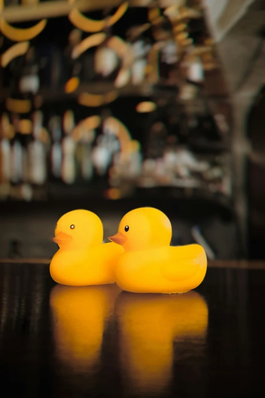 two rubber ducks in a shop filled with objects
