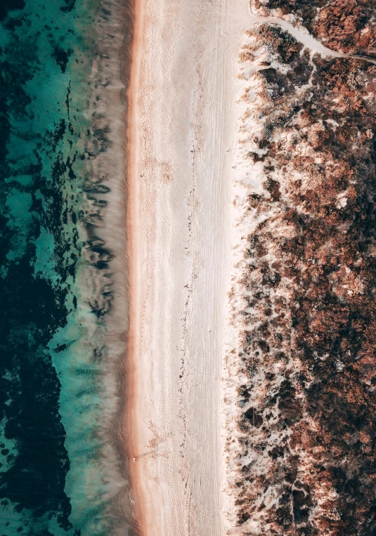 aerial view of a sandy beach with forest around