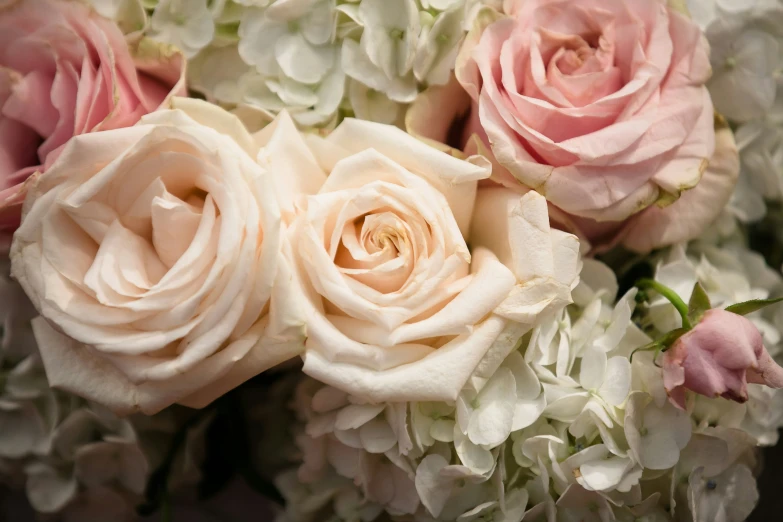 a close - up of a bouquet of pink and white flowers