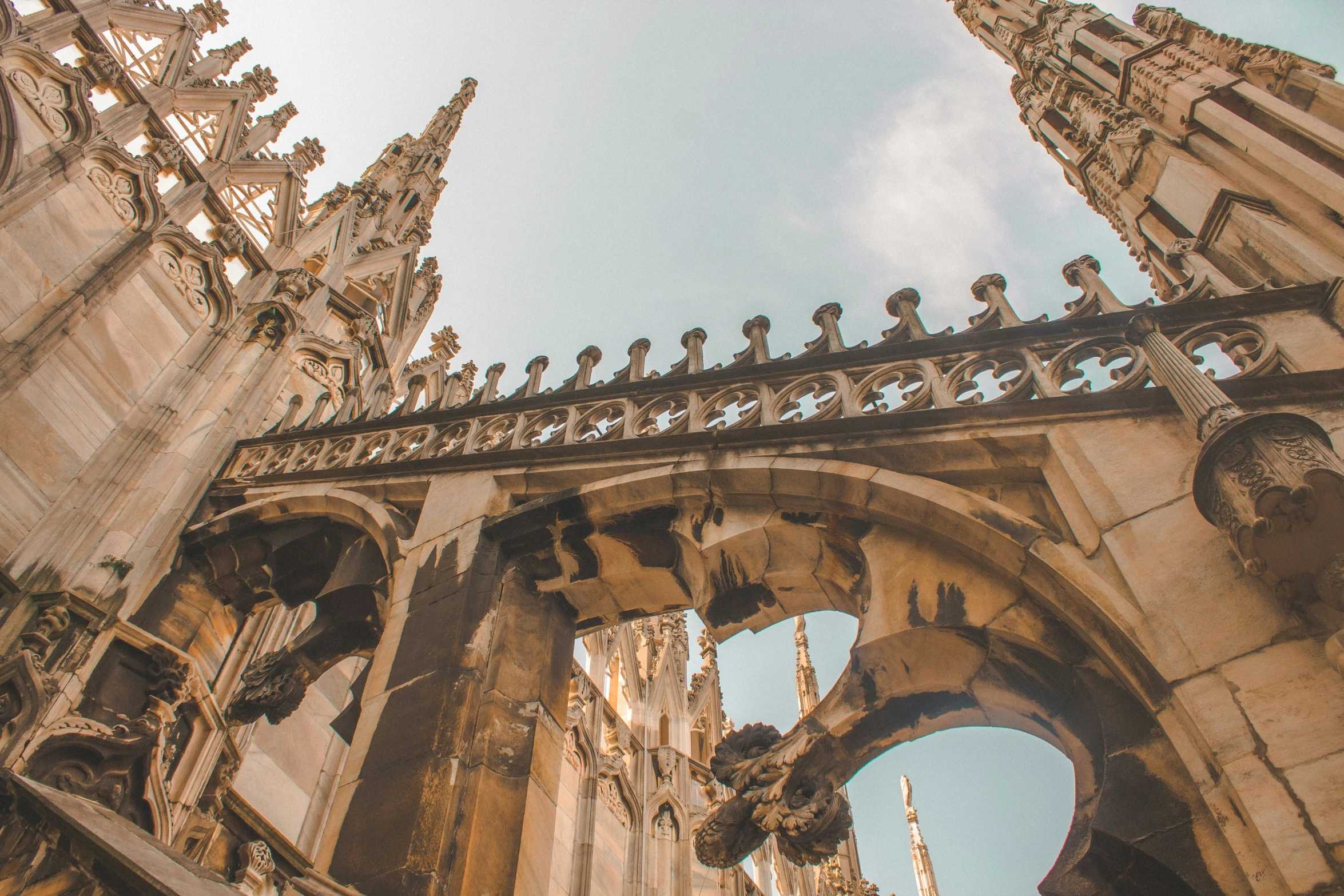 looking up into the gothic architecture in a church