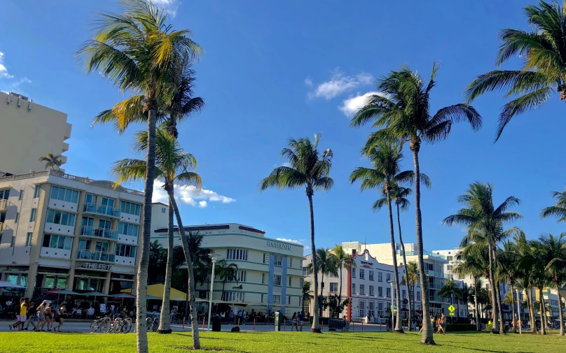 some palm trees a large building and many people