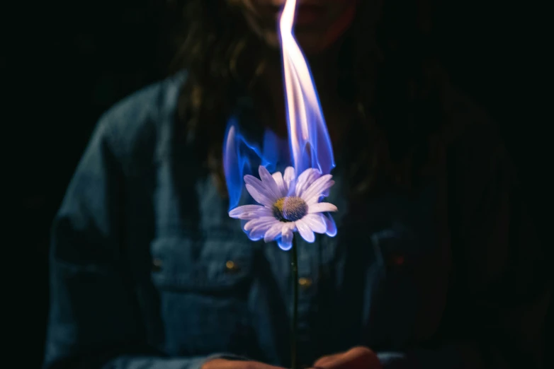 the person holding the flower has purple stems sticking out