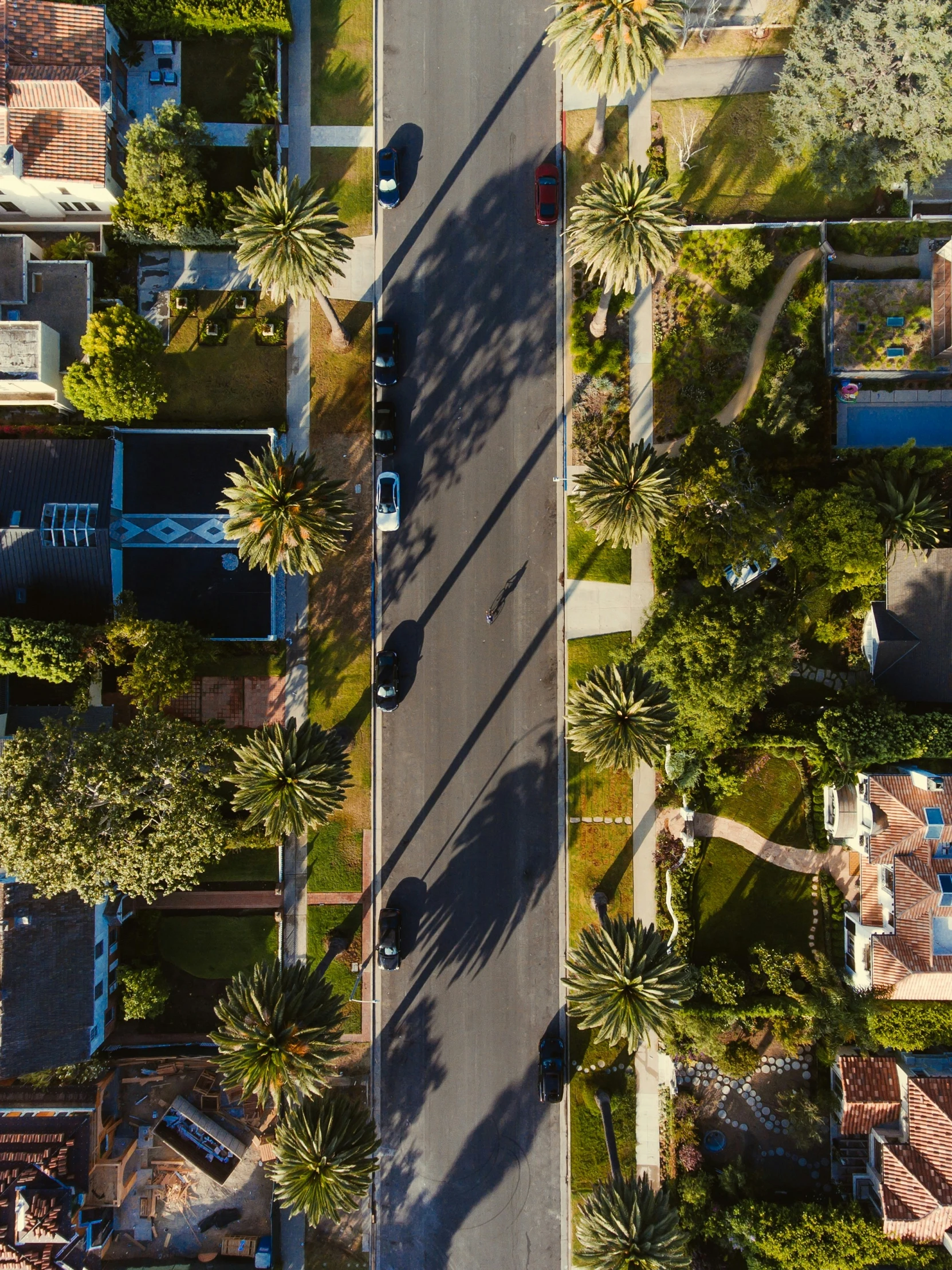 an aerial view of a street surrounded by palm trees