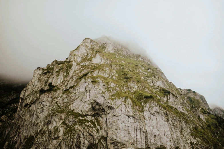 the top of a mountain with green plants on it