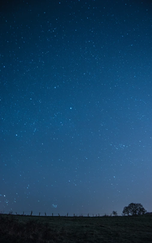 the sky and some trees are in front of a blue night