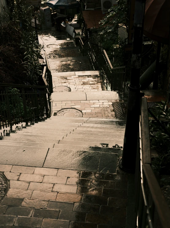 a sidewalk with several stone tiles leading to several trees