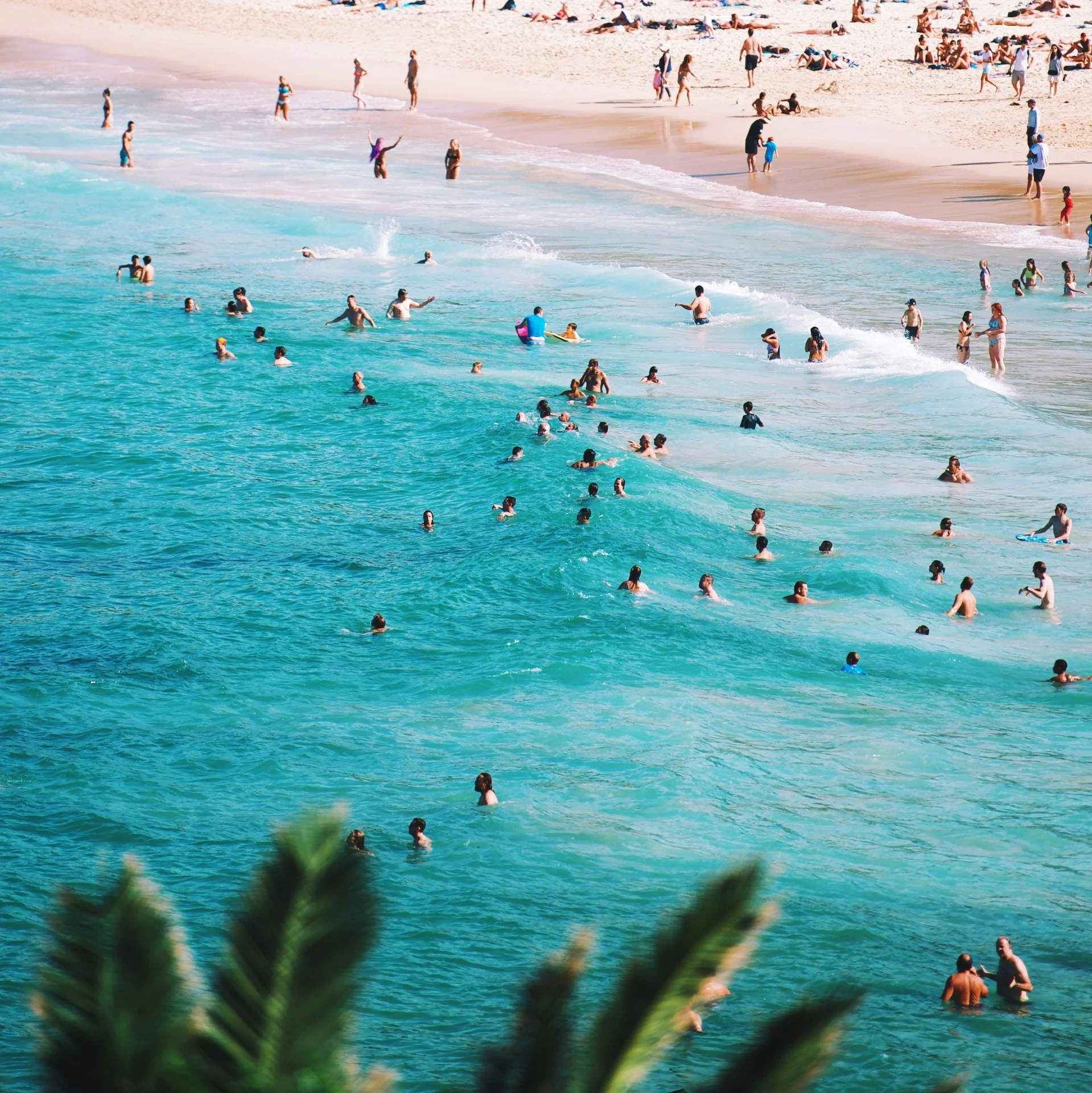 many people are in the ocean on a sunny day