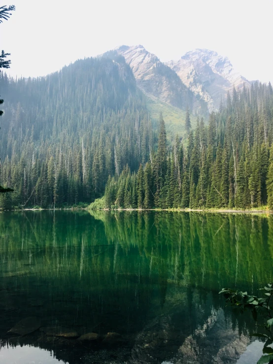 the green water is reflected in the shallow lake