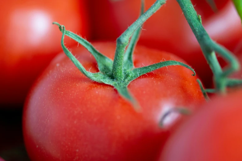 a close up picture of some red tomatoes