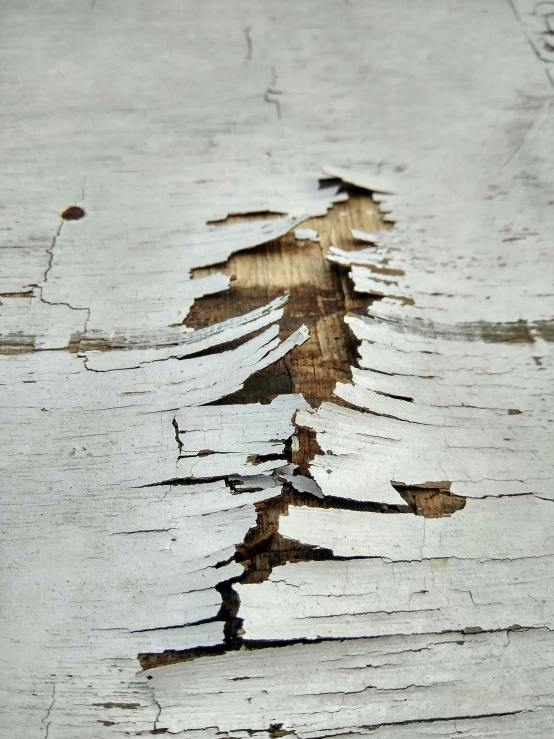 the surface of a painted white wood texture