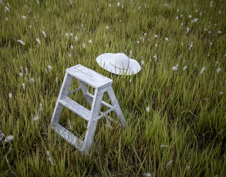 a little white table and chair sitting in tall grass